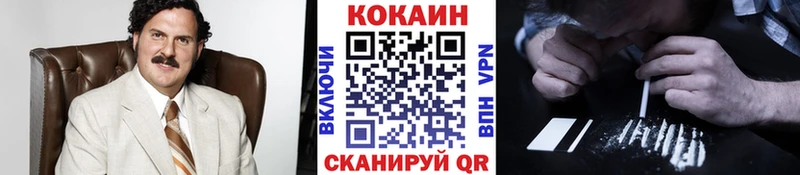 Купить где  Пионерский  КОКАИН Fish Scale 