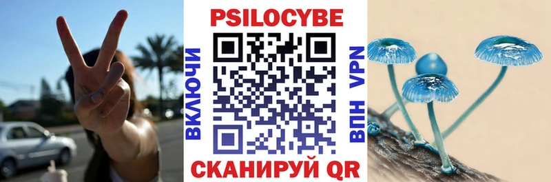 Псилоцибиновые грибы прущие грибы  Купить где  Пионерский 