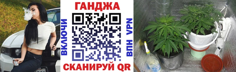 Конопля ГИДРОПОН  Купить  Пионерский 